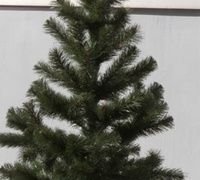 Ель Зимняя красавица 1м Ель Зимняя красавица 1м