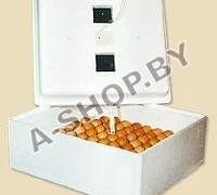 Инкубатор бытовой "Идеальная наседка" (63 яйца с механическим поворотом яиц 220В на 12В) Инкубатор бытовой "Идеальная наседка" (63 яйца с механическим поворотом яиц 220В на 12В)